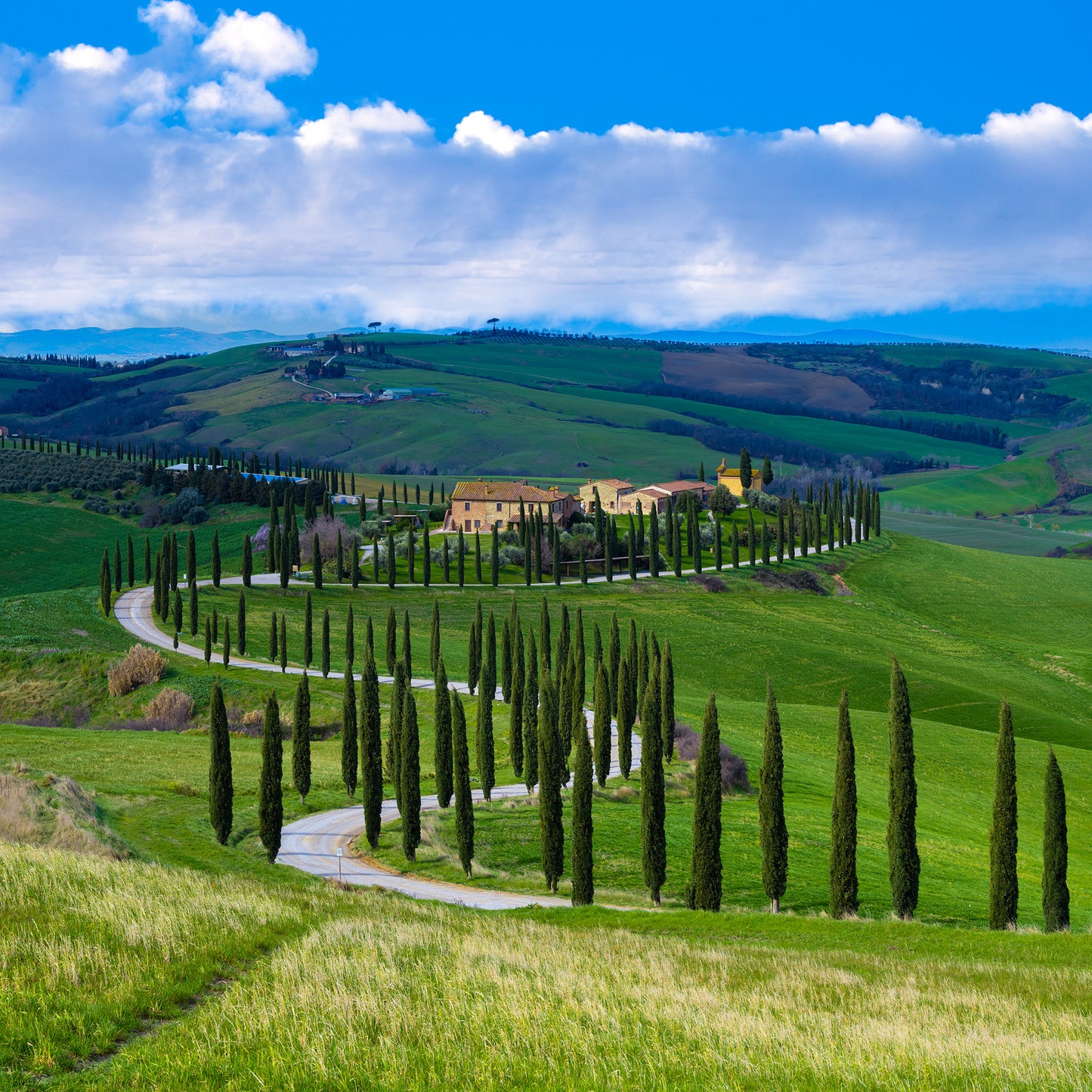 Tuscan Hills